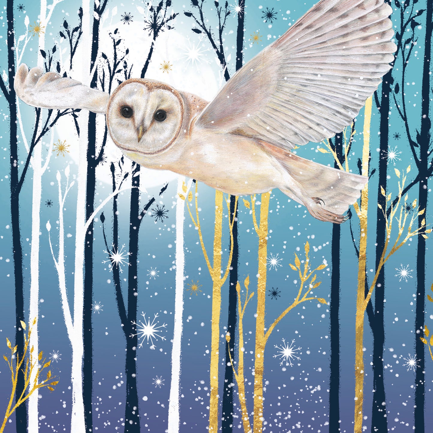 Charity Christmas Card Pack - Forest Flight