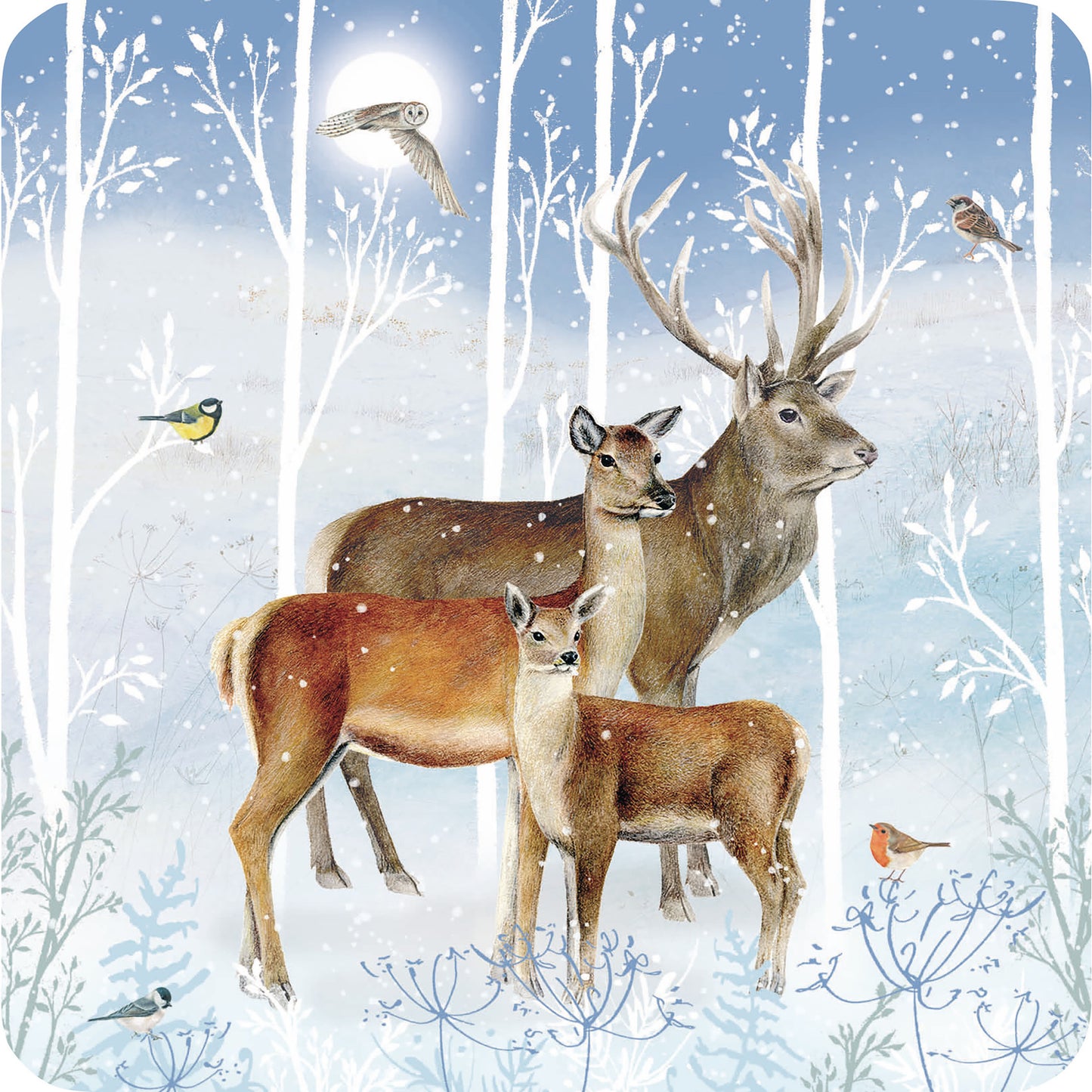 Luxury Charity Christmas Card Pack - Winter Visitors