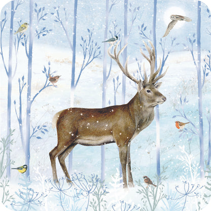 Luxury Charity Christmas Card Pack - Winter Visitors