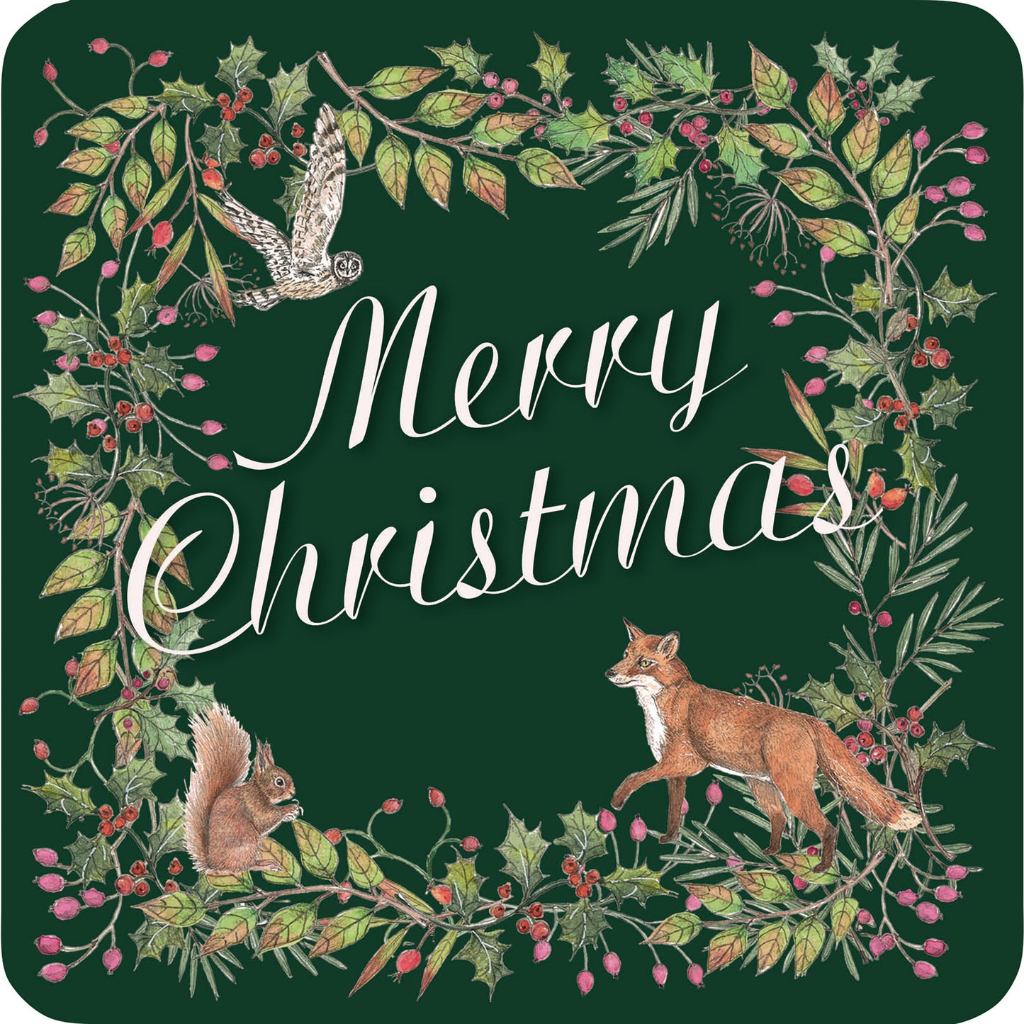 Luxury Charity Christmas Card Pack - Wildlife Borders