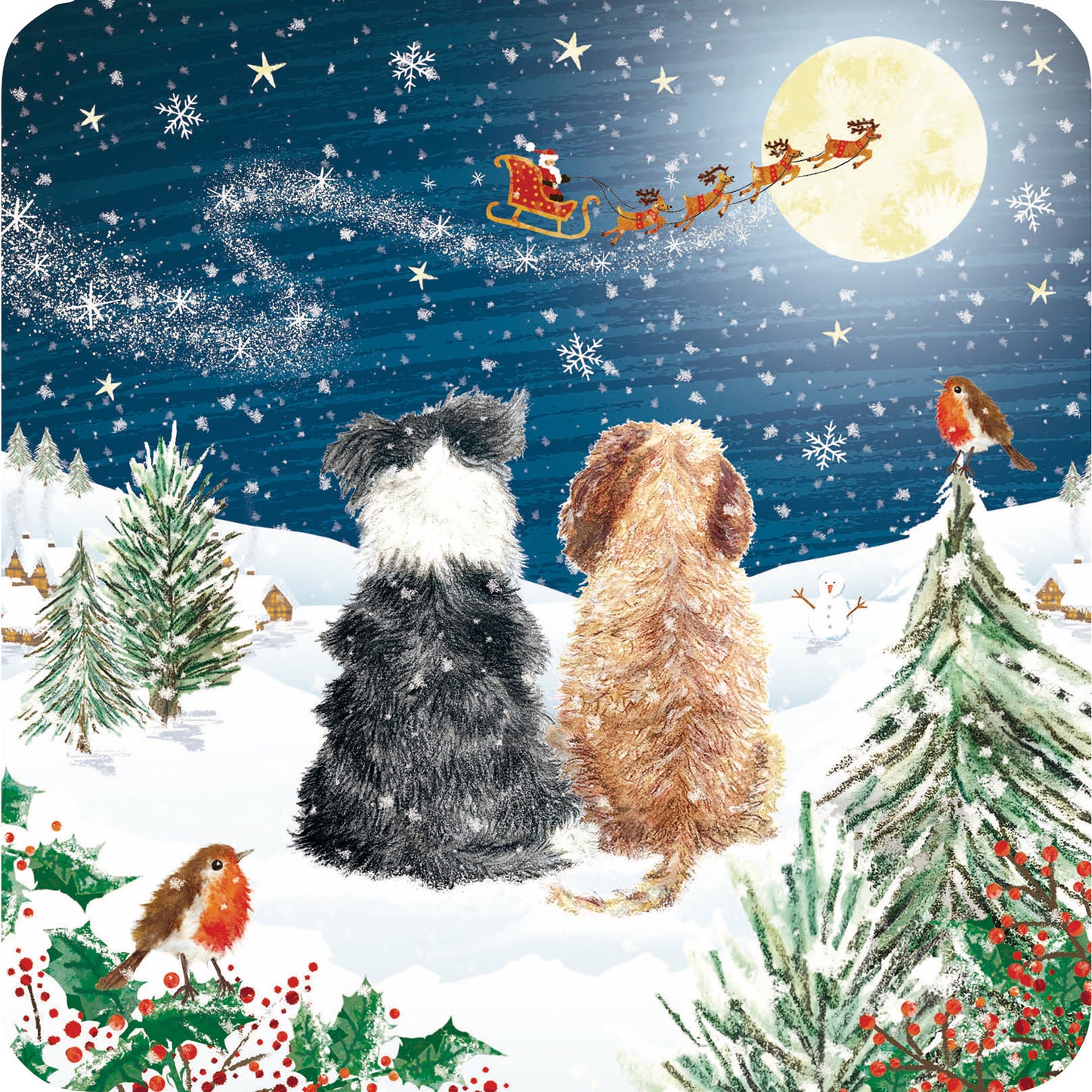 Luxury Charity Christmas Card Pack - Watching by Moonlight