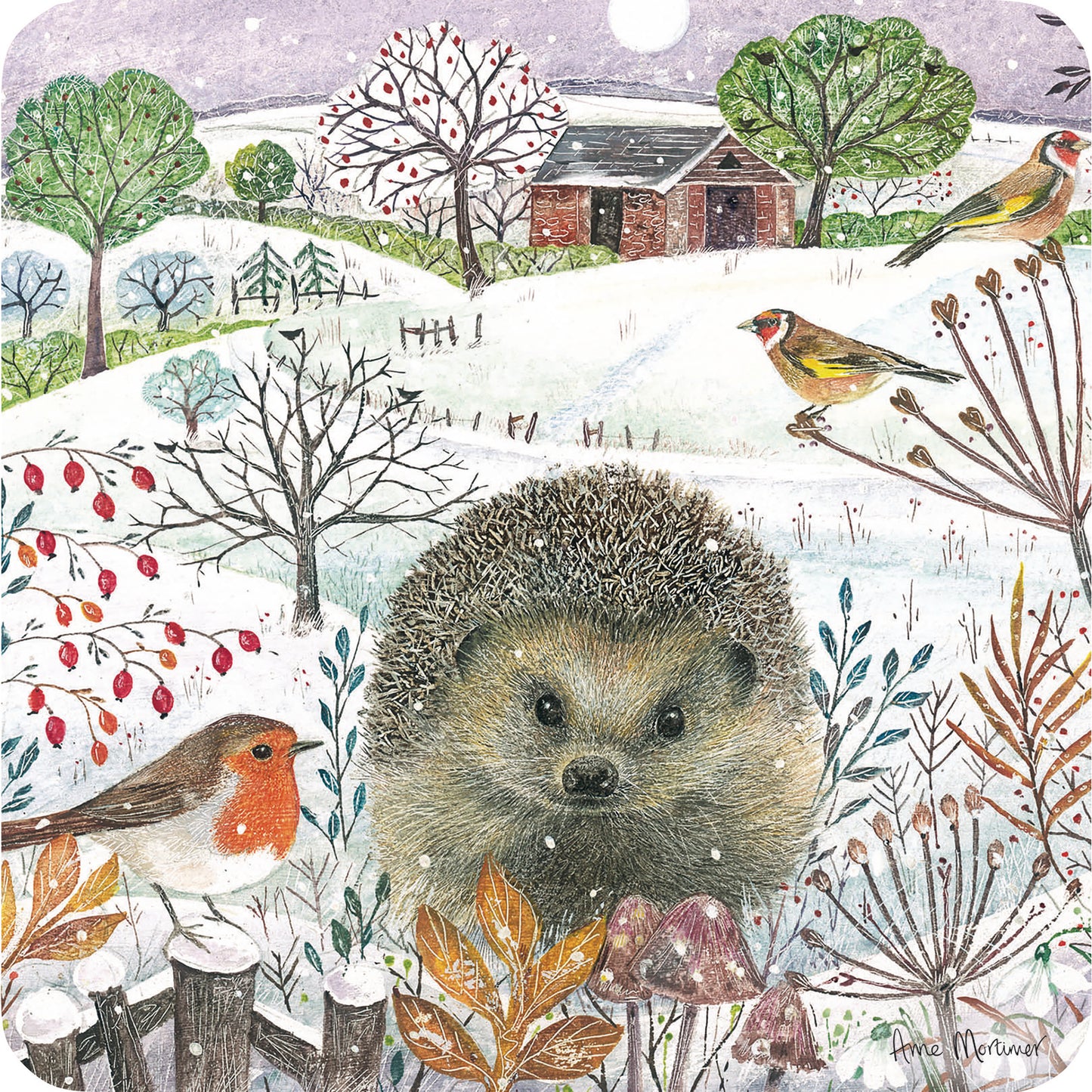 Luxury Charity Christmas Card Pack - Country Hedgehogs