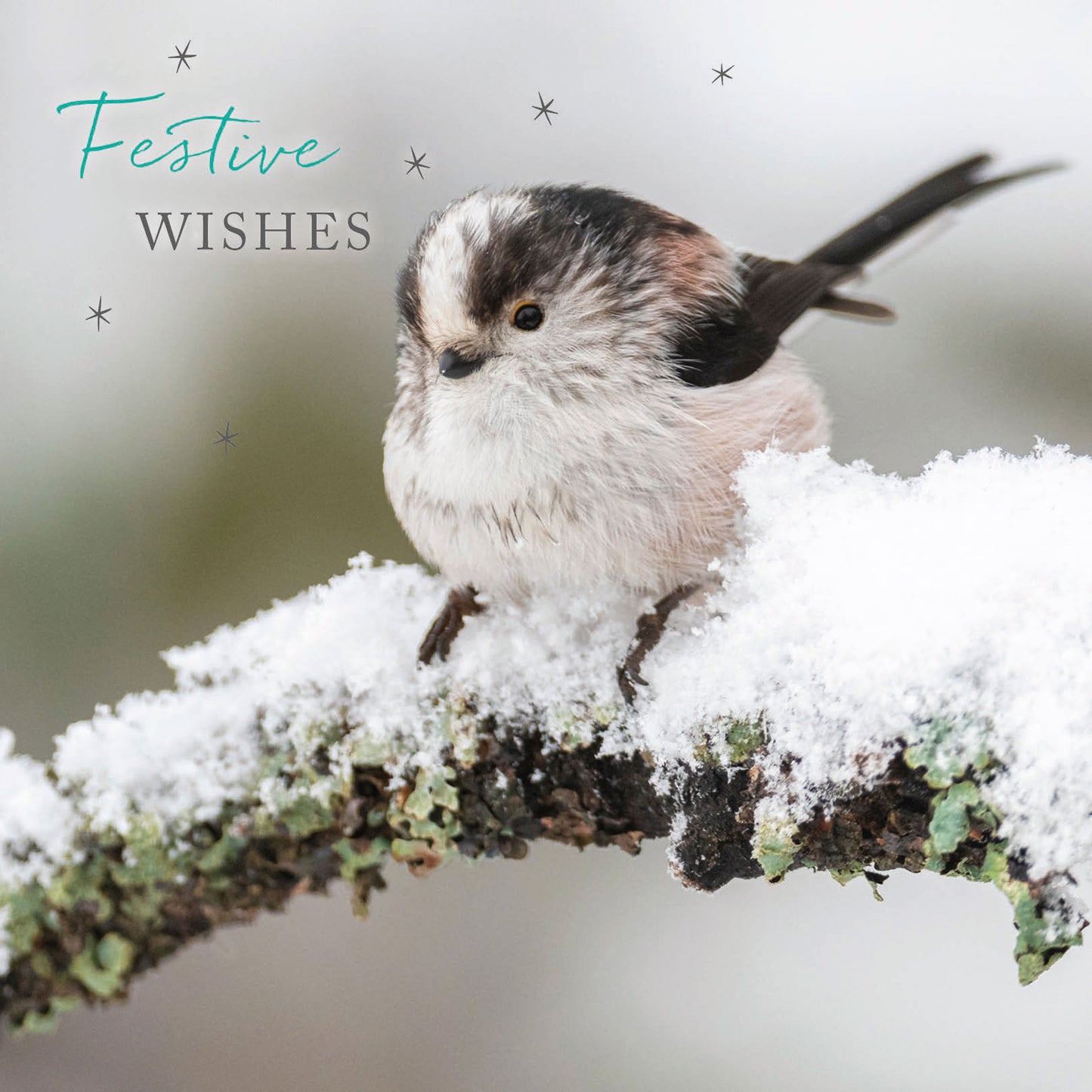 RSPB Luxury Christmas Cards (10 Cards) - Snowflakes & Feathers