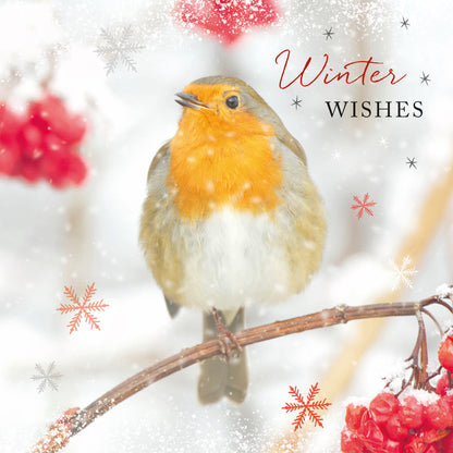 RSPB Luxury Christmas Cards (10 Cards) - Snowflakes & Feathers