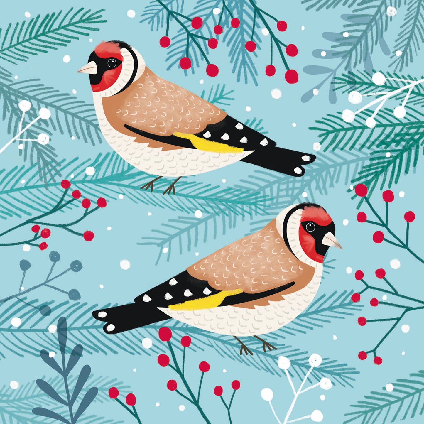 RSPB Luxury Christmas Cards (10 Cards) - Birds & Berries