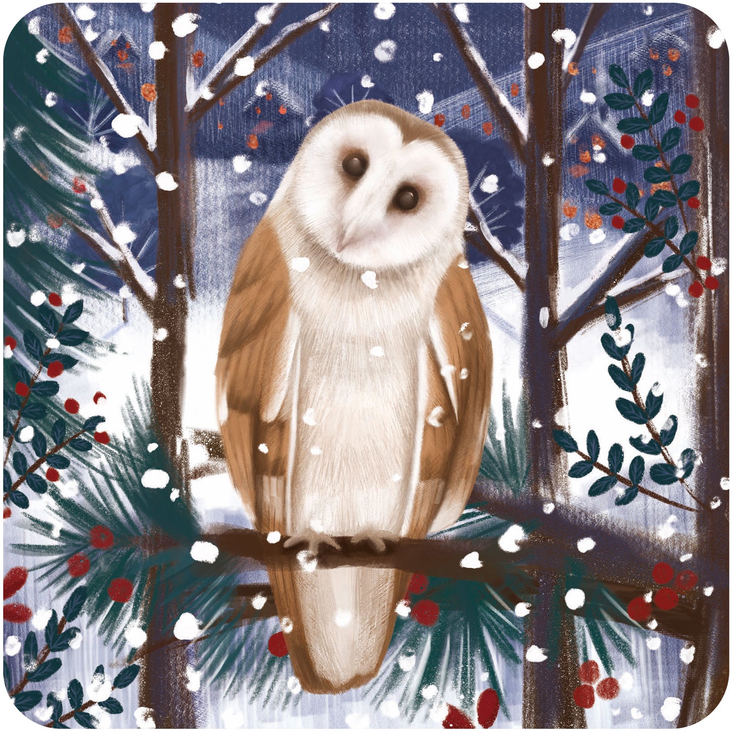 RSPB Luxury Christmas Cards (10 Cards) - Winter Woodland