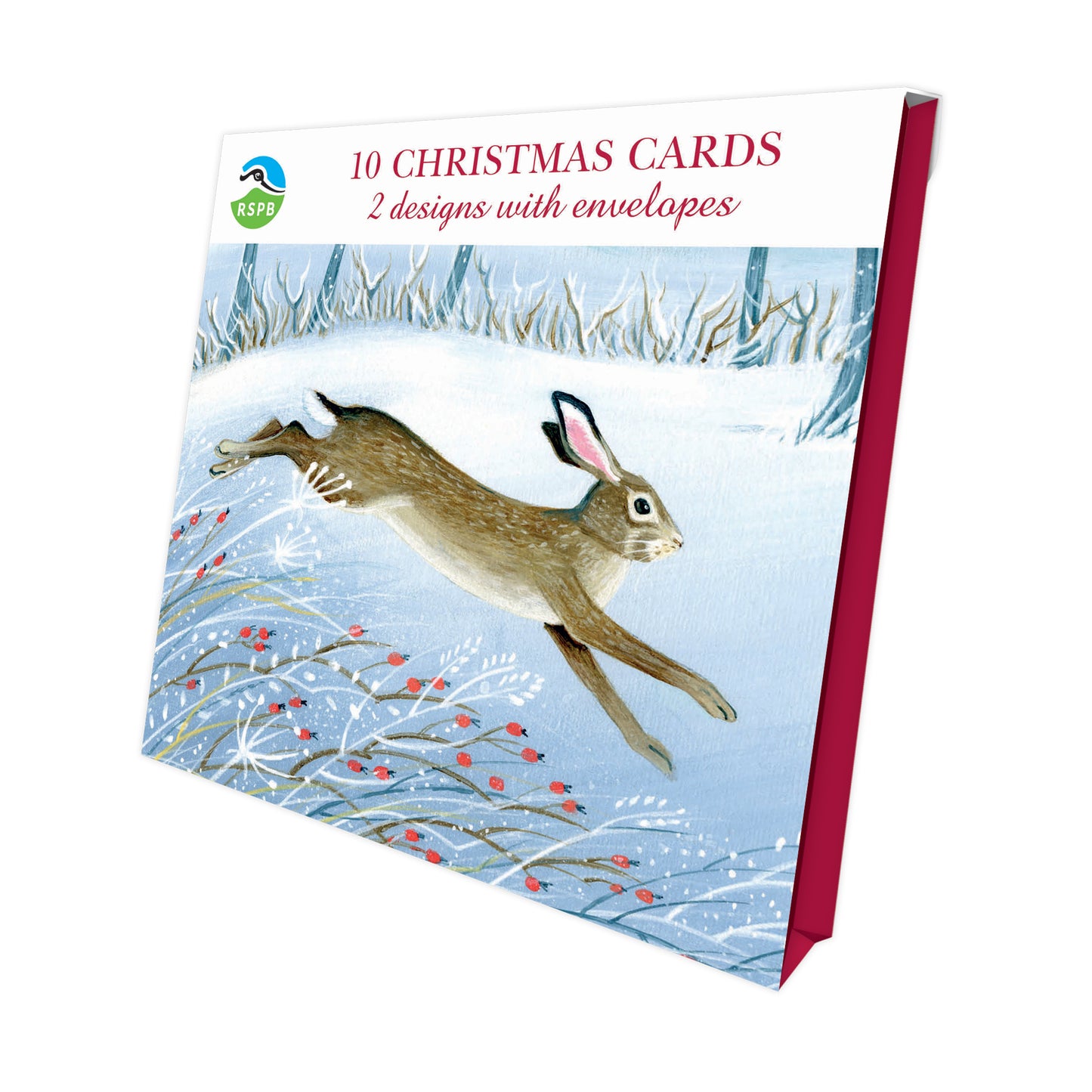 RSPB Luxury Christmas Cards (10 Cards) - Wintry Hare & Fox