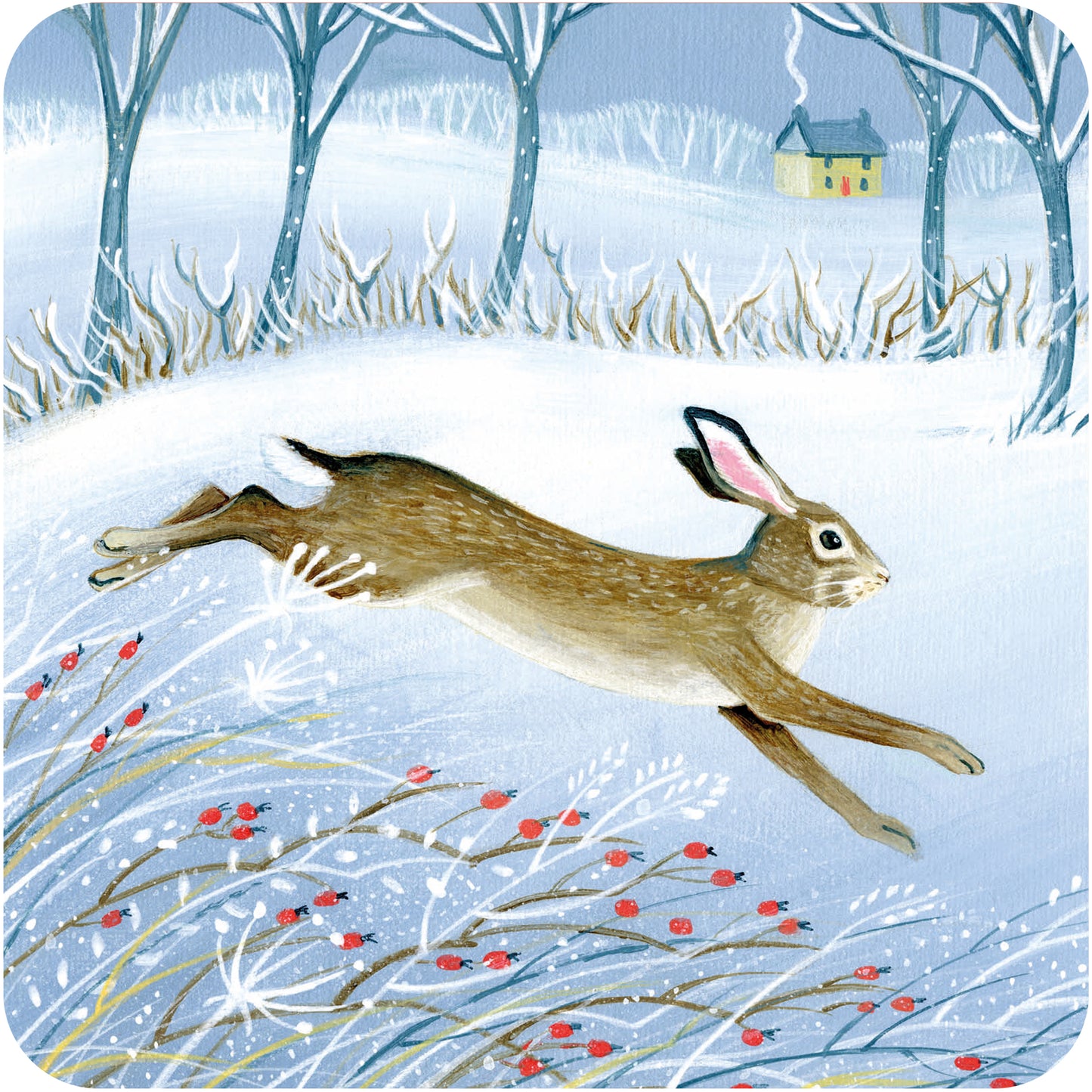 RSPB Luxury Christmas Cards (10 Cards) - Wintry Hare & Fox