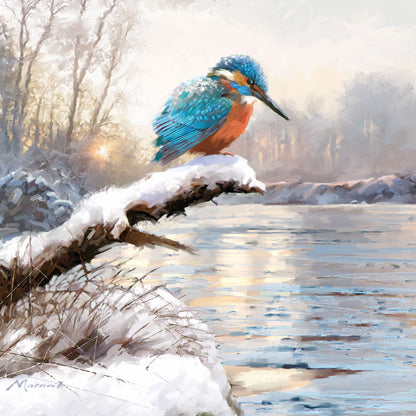 RSPB Luxury Christmas Cards (10 Cards) - Frosty Perches