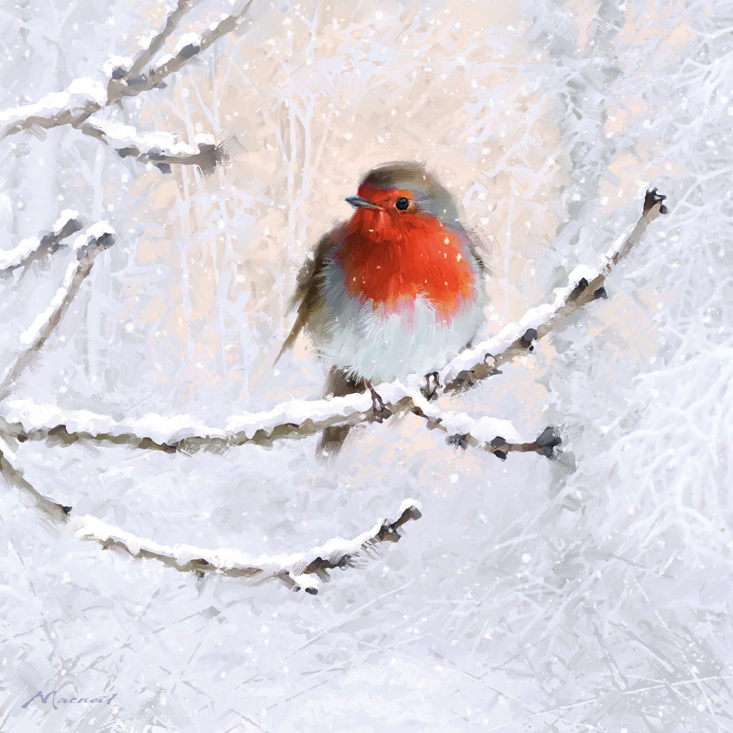 RSPB Luxury Christmas Cards (10 Cards) - Frosty Perches