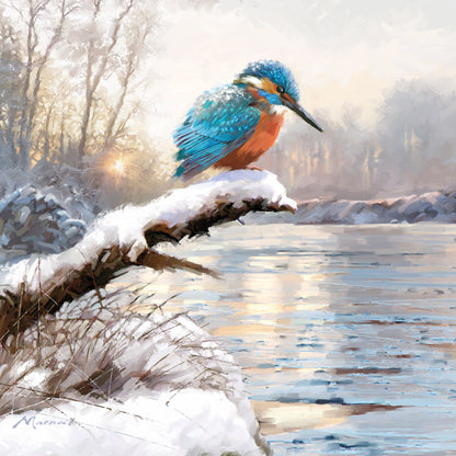 RSPB Luxury Christmas Cards (10 Cards) - Frosty Perches