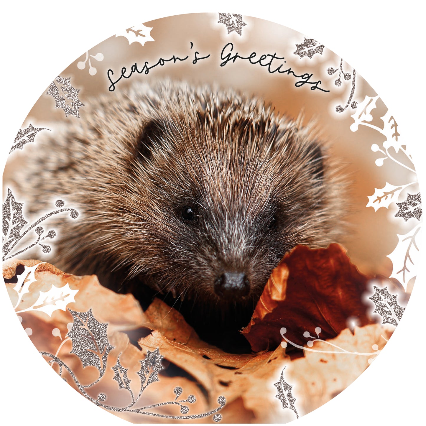 RSPB Luxury Christmas Cards (10 Cards) - Hedgehog & Hare