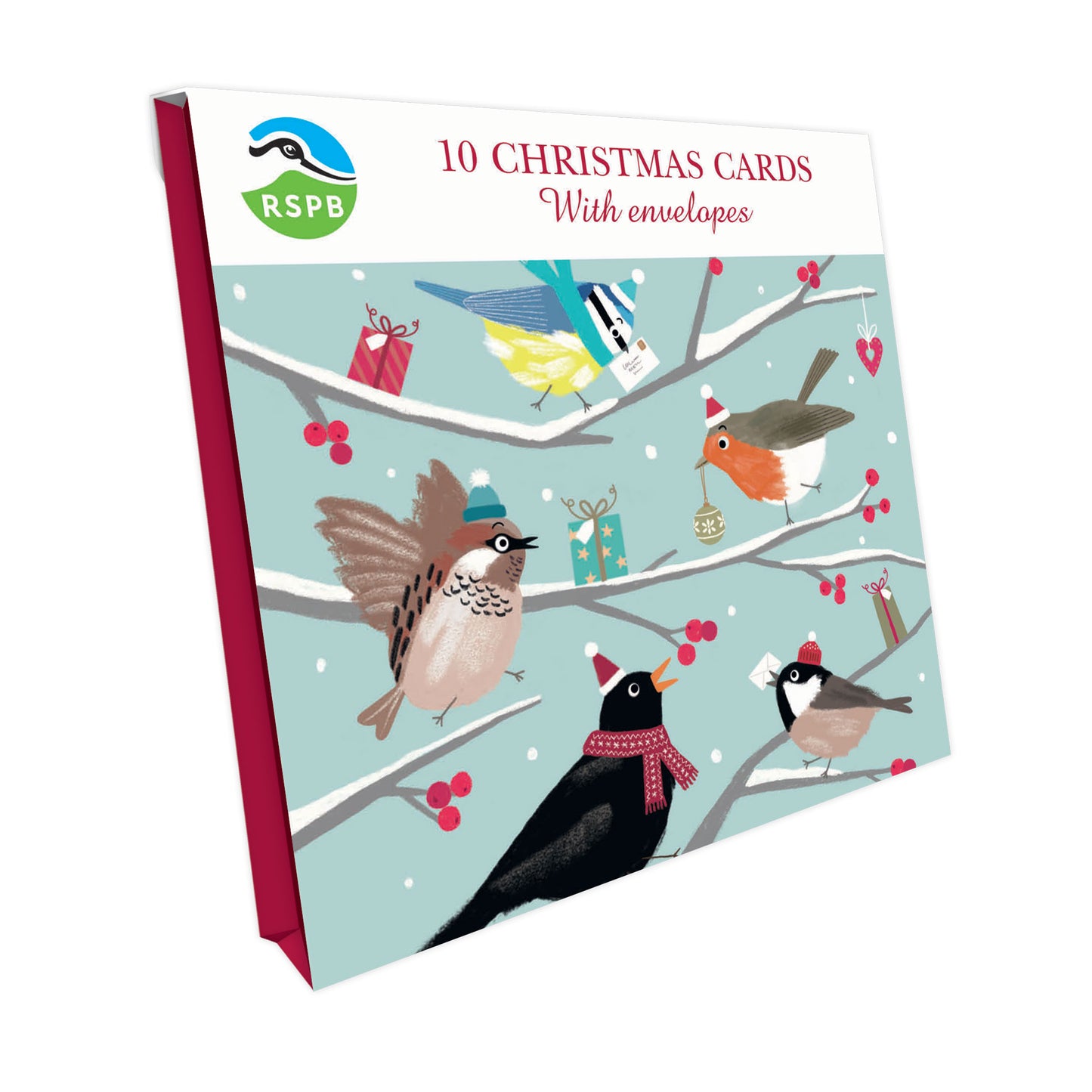 RSPB Small Square Christmas Cards (10 Cards) - Cheery Festive Birds