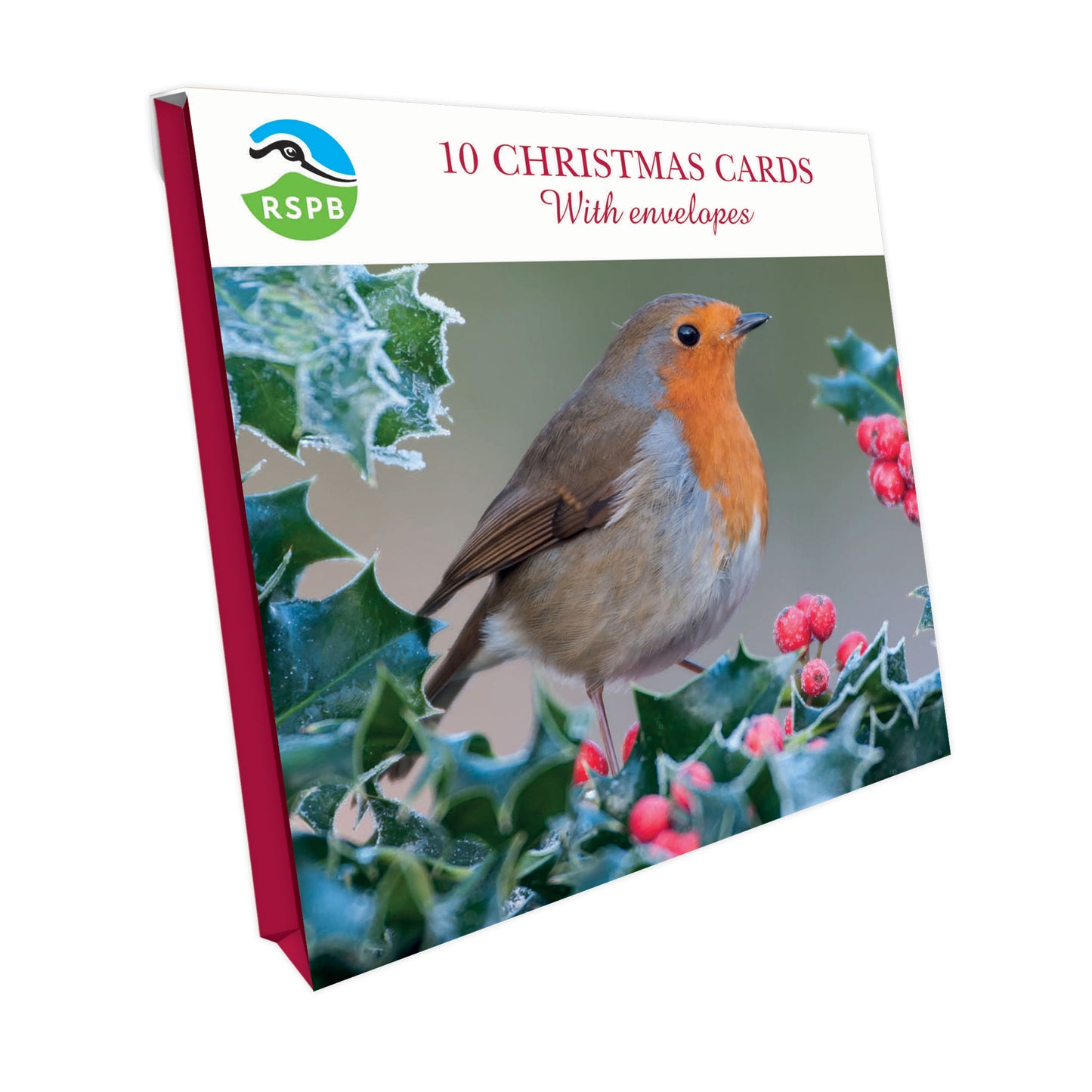 RSPB Small Square Christmas Cards (10 Cards) - Chirpy Robin