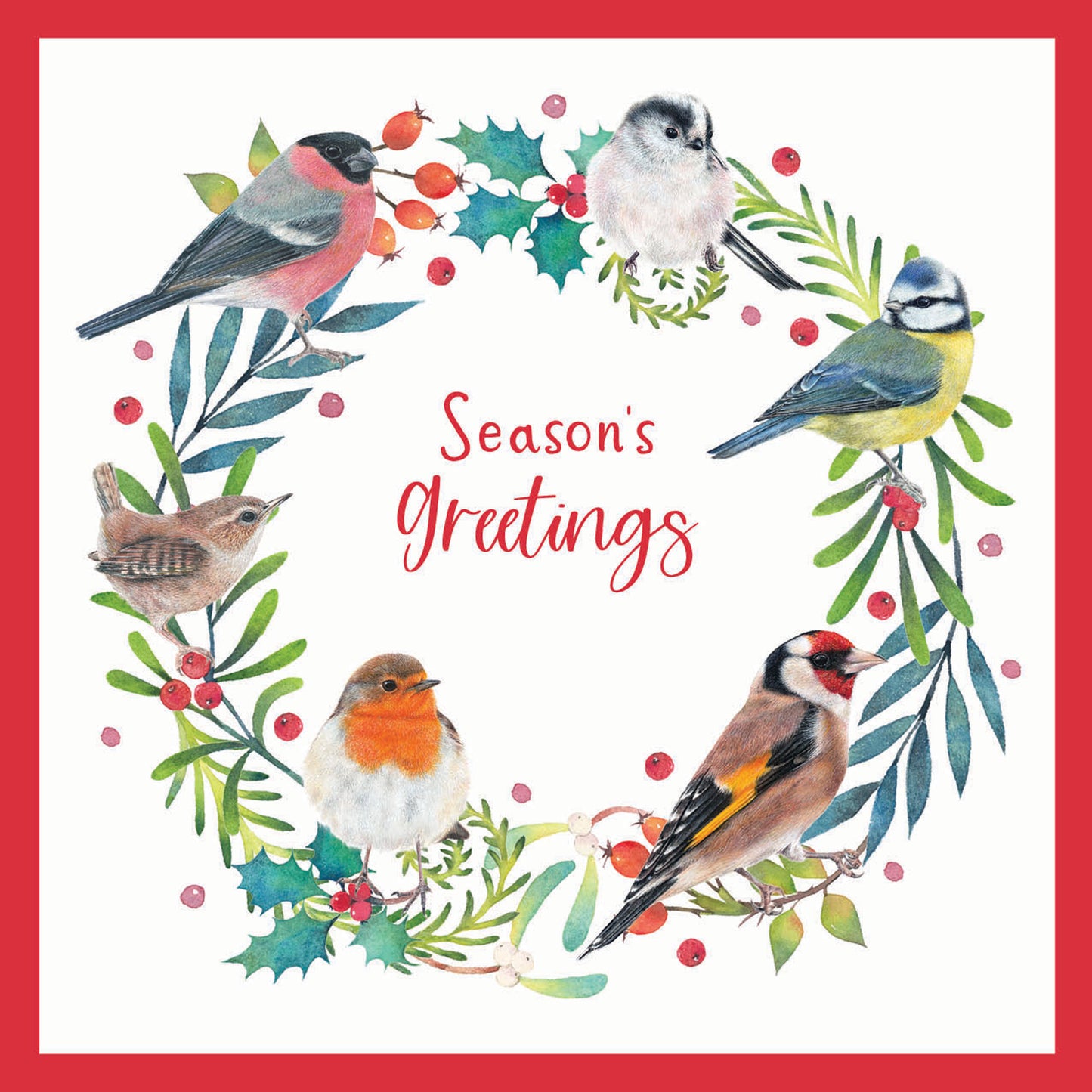 RSPB Small Square Christmas Cards (10 Cards) - Bird Wreath