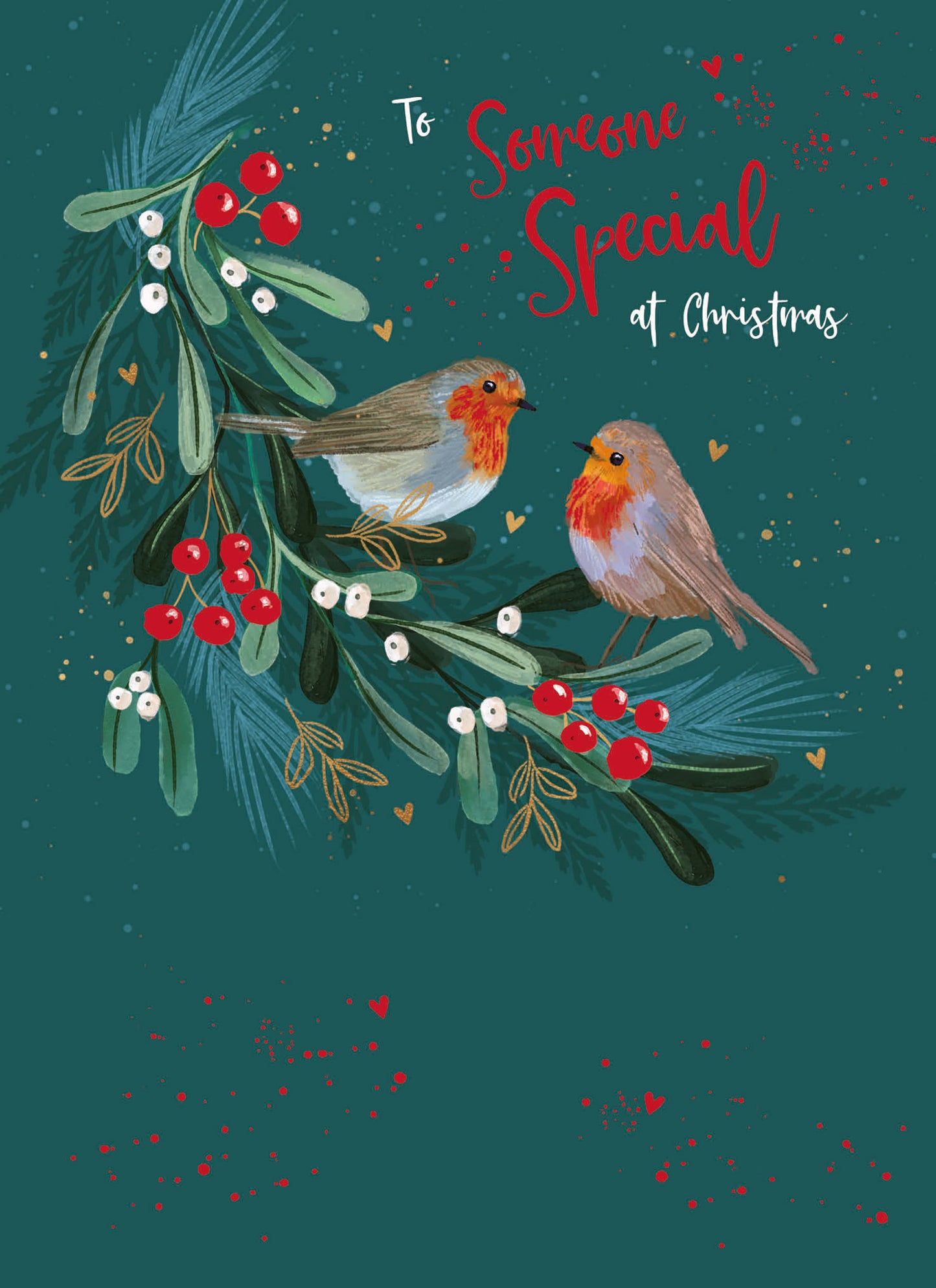 Christmas Card (Single) - Someone Special - Robins On Foliage