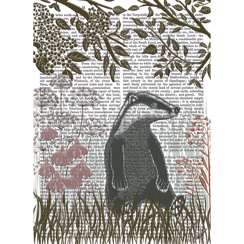 Fab Funky Card Collection - Country Lane - Badger