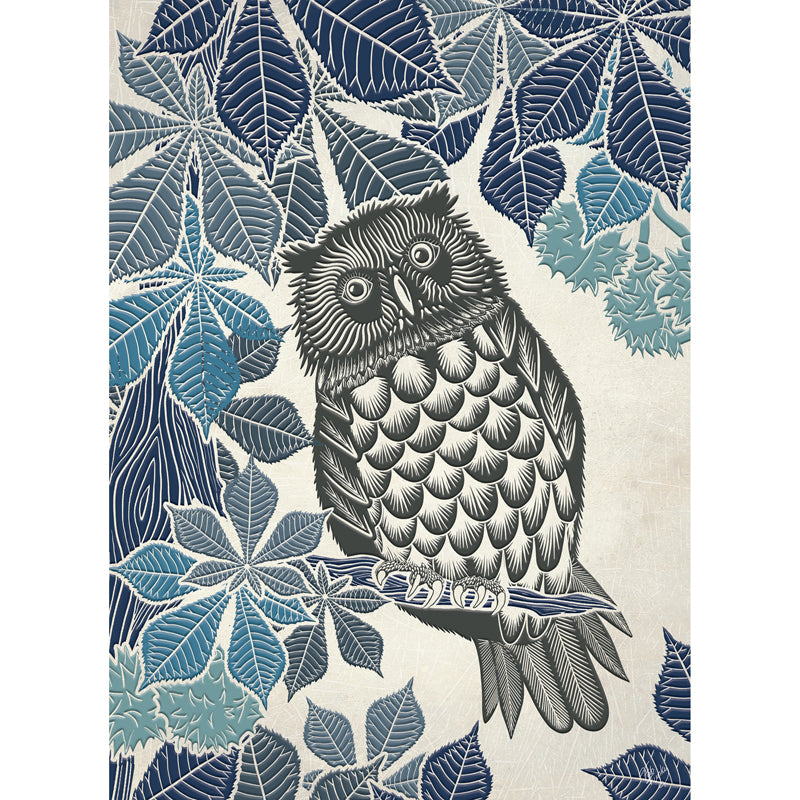 Fab Funky Card Collection - Country Lane - Owl