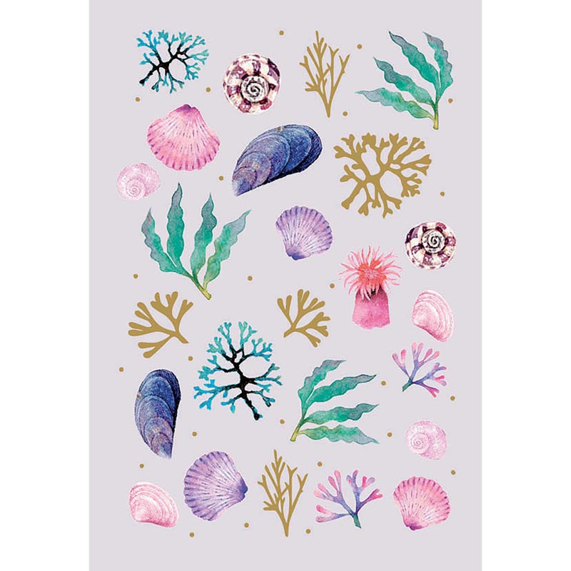 Meadow & Seashore Card Collection - Shells