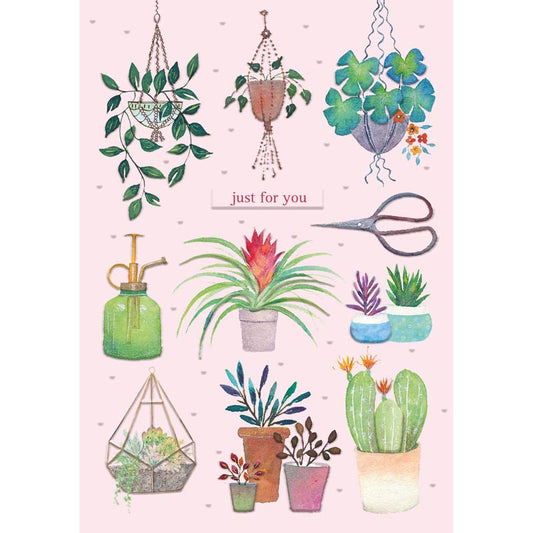 Meadow & Seashore Card Collection - Houseplants