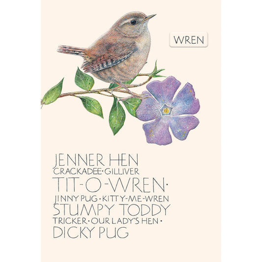 The Naming of a Bird Card Collection - Wren