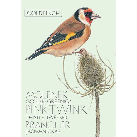 The Naming of a Bird Card Collection - Goldfinch