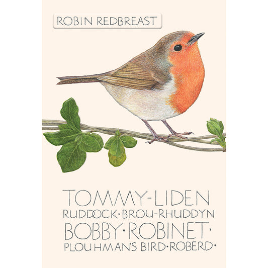 The Naming of a Bird Card Collection - Robin Redbreast