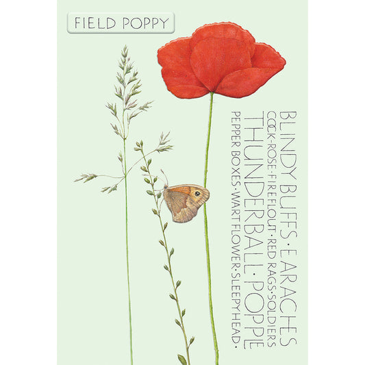 The Naming of a Flower Card Collection - Field Poppy