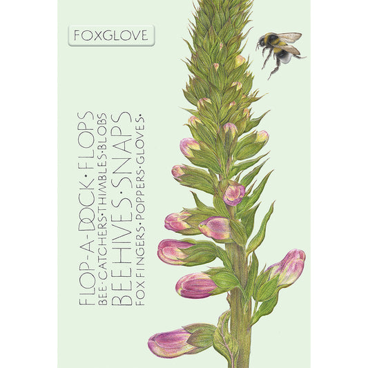 The Naming of a Flower Card Collection - Foxglove