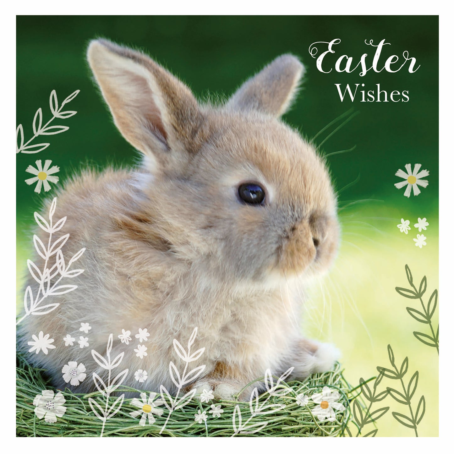 Easter Card Pack - Bunny Floral