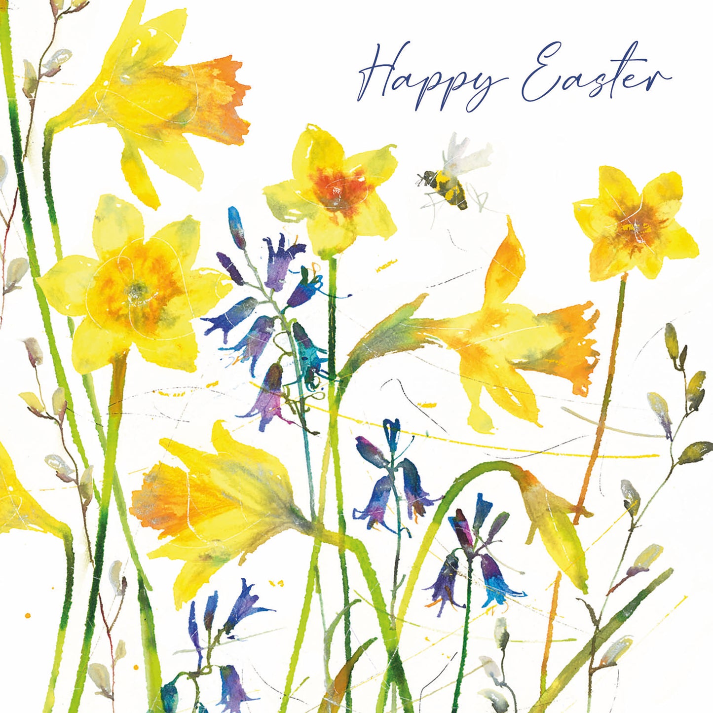 Easter Card Pack - Painted Daffodils