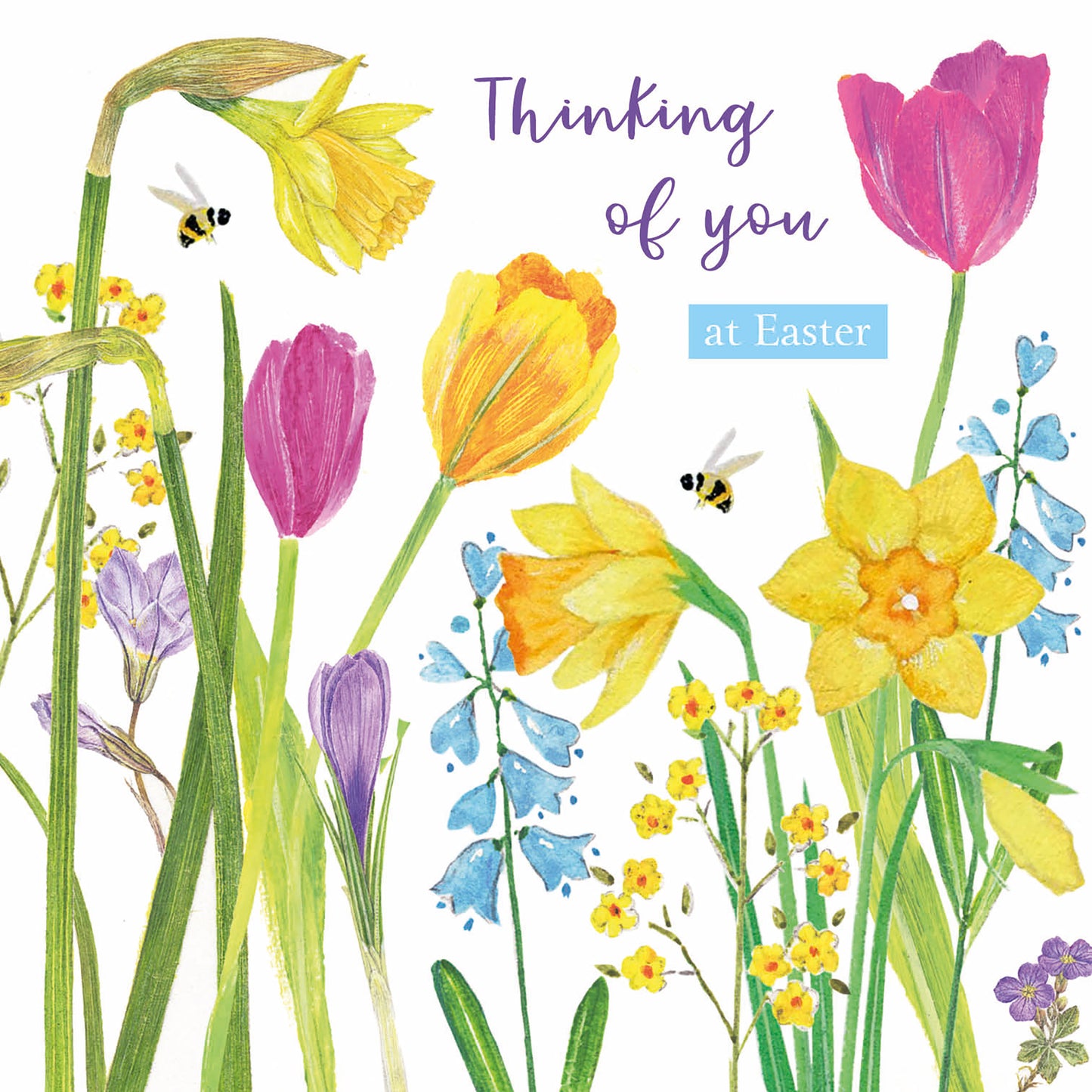 Easter Card - Tulips & Daffodils