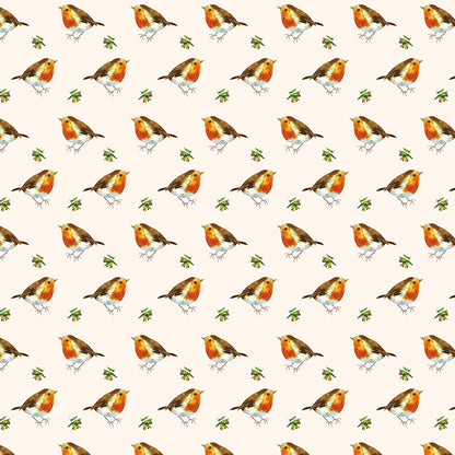 Christmas Wrap & Tags - Little Robins (5 Sheets & 5 Tags)
