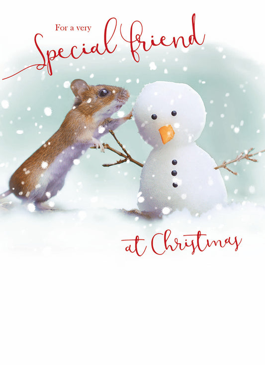 Christmas Card (Single) - Special Friend - Photographic Mouse And Snowman