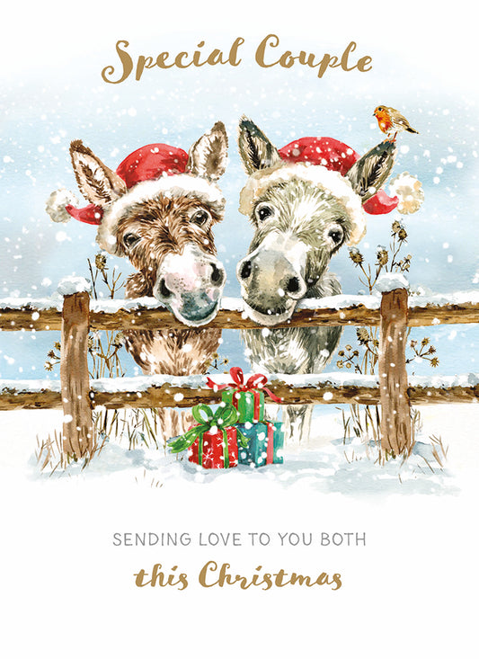 Christmas Card (Single) - Special Couple - Two Donkeys