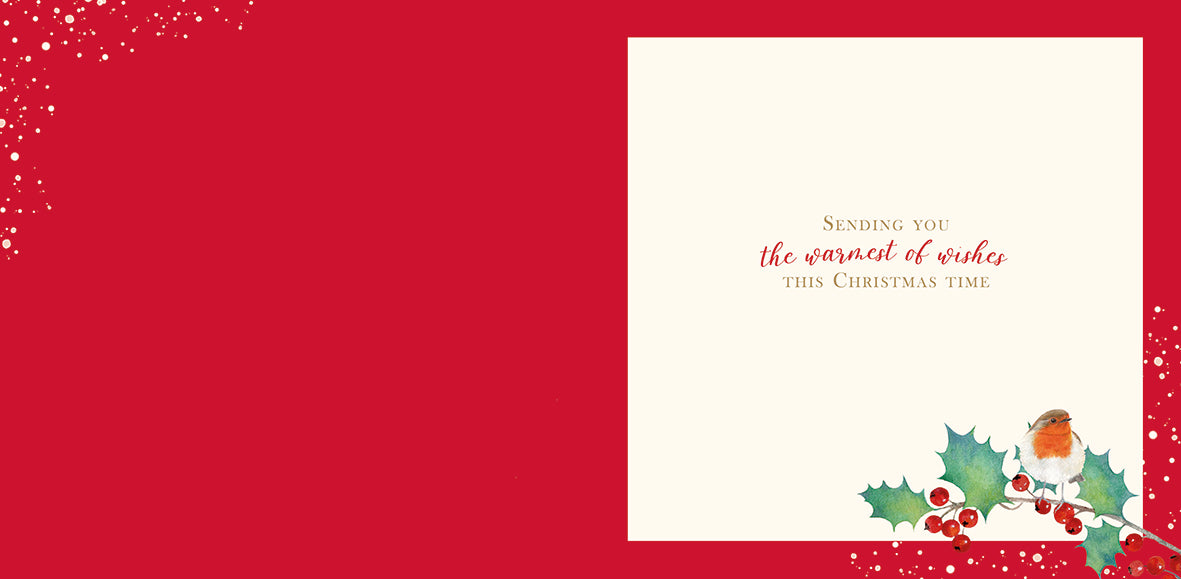 Christmas Card (Single) - Thinking Of You - Robin On Holly