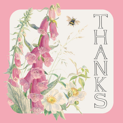 Notecard Pack (10 Cards) - Edith Holden - Wild Hyacinth & Foxglove