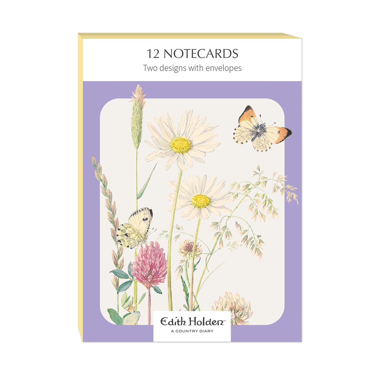 Notecard Pack (12 Cards) - Edith Holden - Daisy & Milkwort