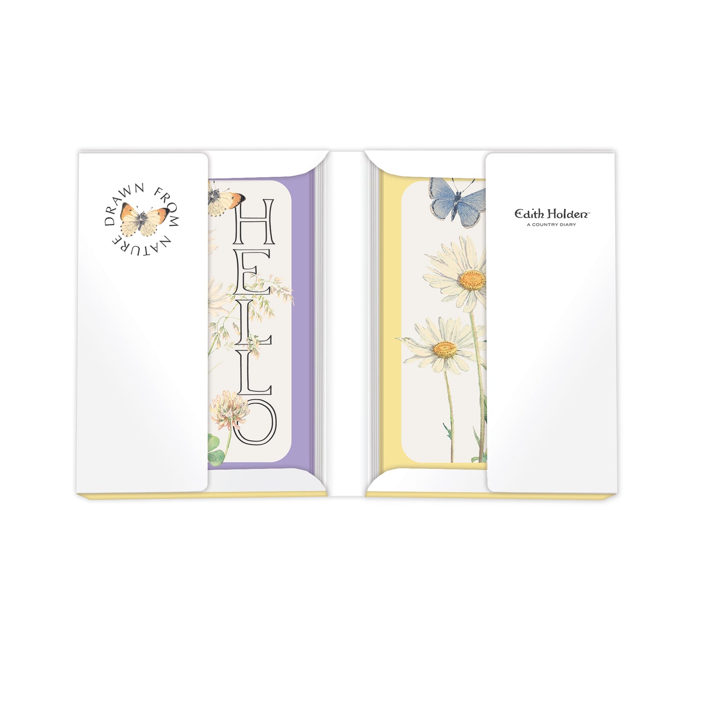 Notecard Pack (12 Cards) - Edith Holden - Daisy & Milkwort