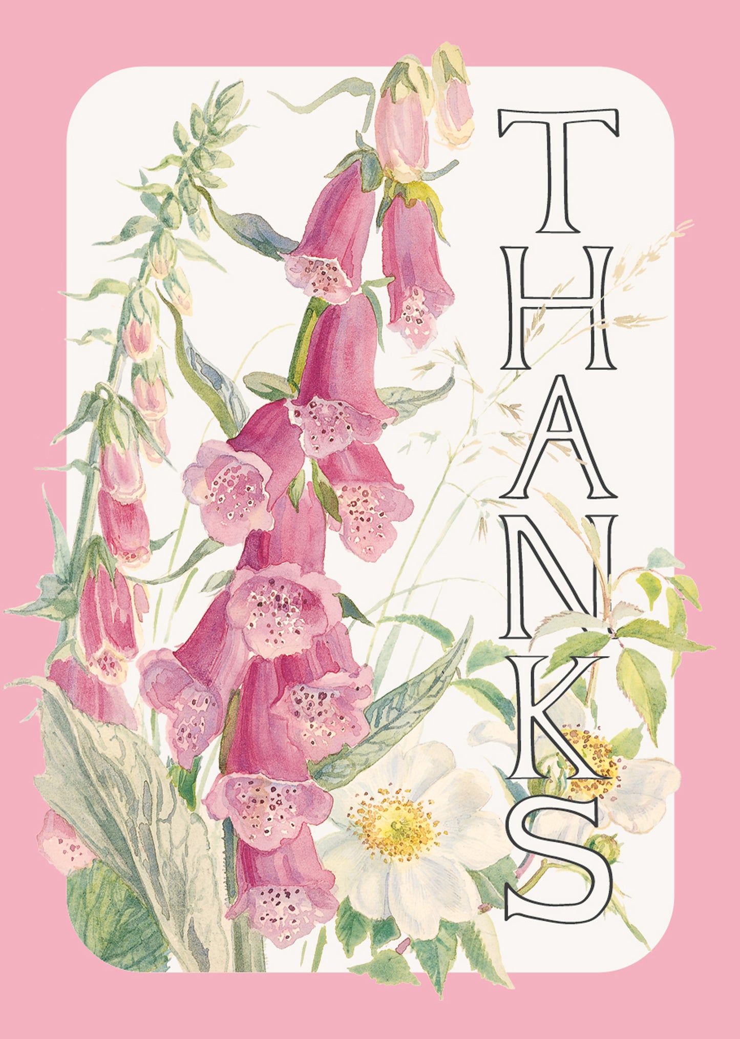 Mini Notecard Pack (6 Cards) - Edith Holden - Foxglove