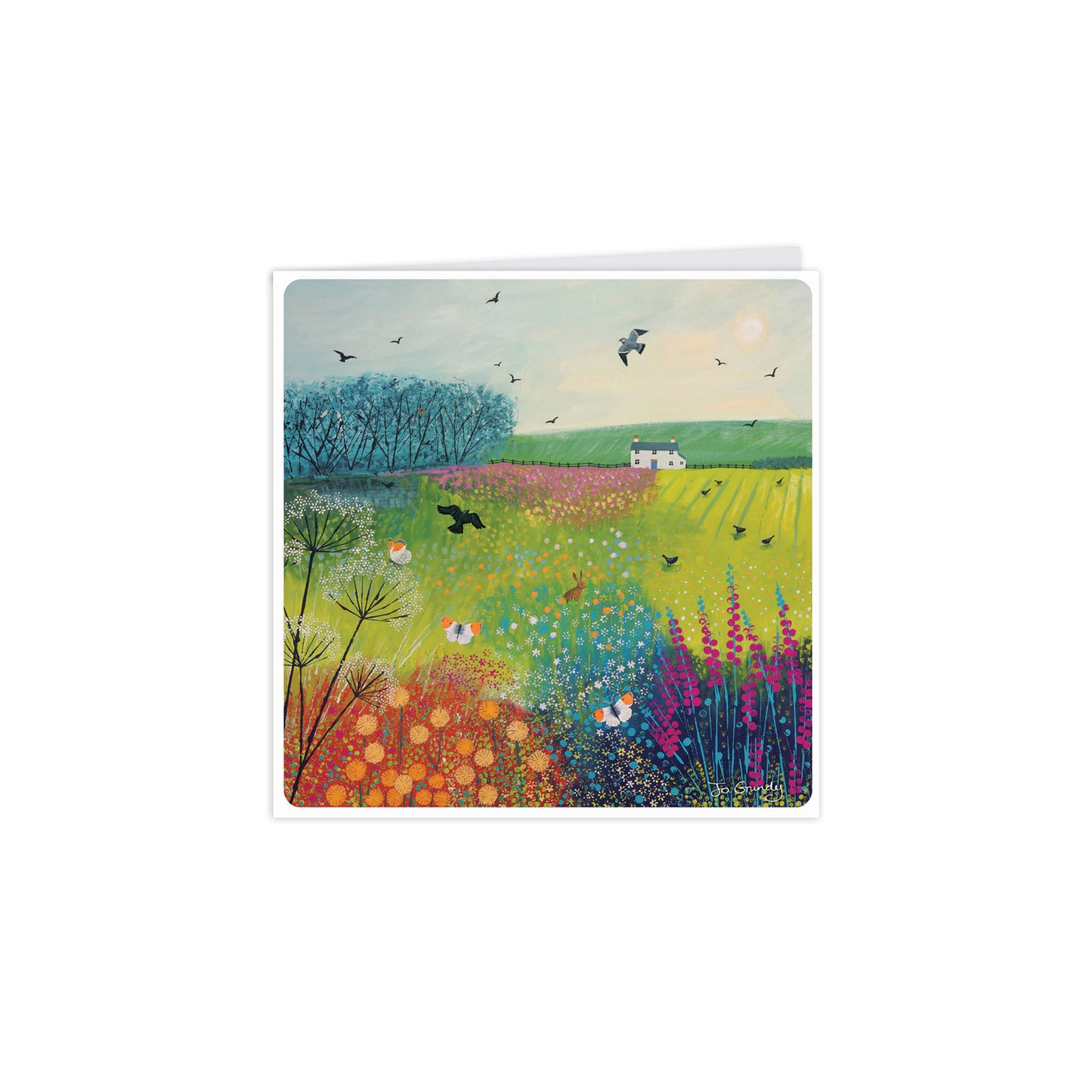 Notecard Pack (10 Cards) - Jo Grundy - Butteflies & Swallows
