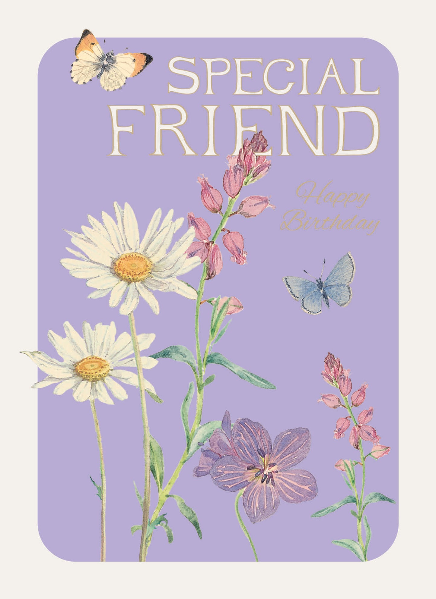 Edith Holden A Country Diary Card Collection - Special Friend