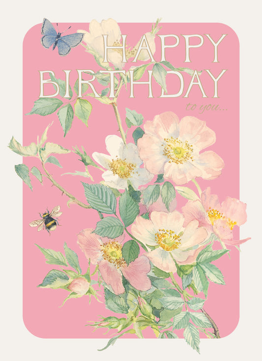 Edith Holden A Country Diary Card Collection - Happy Birthday