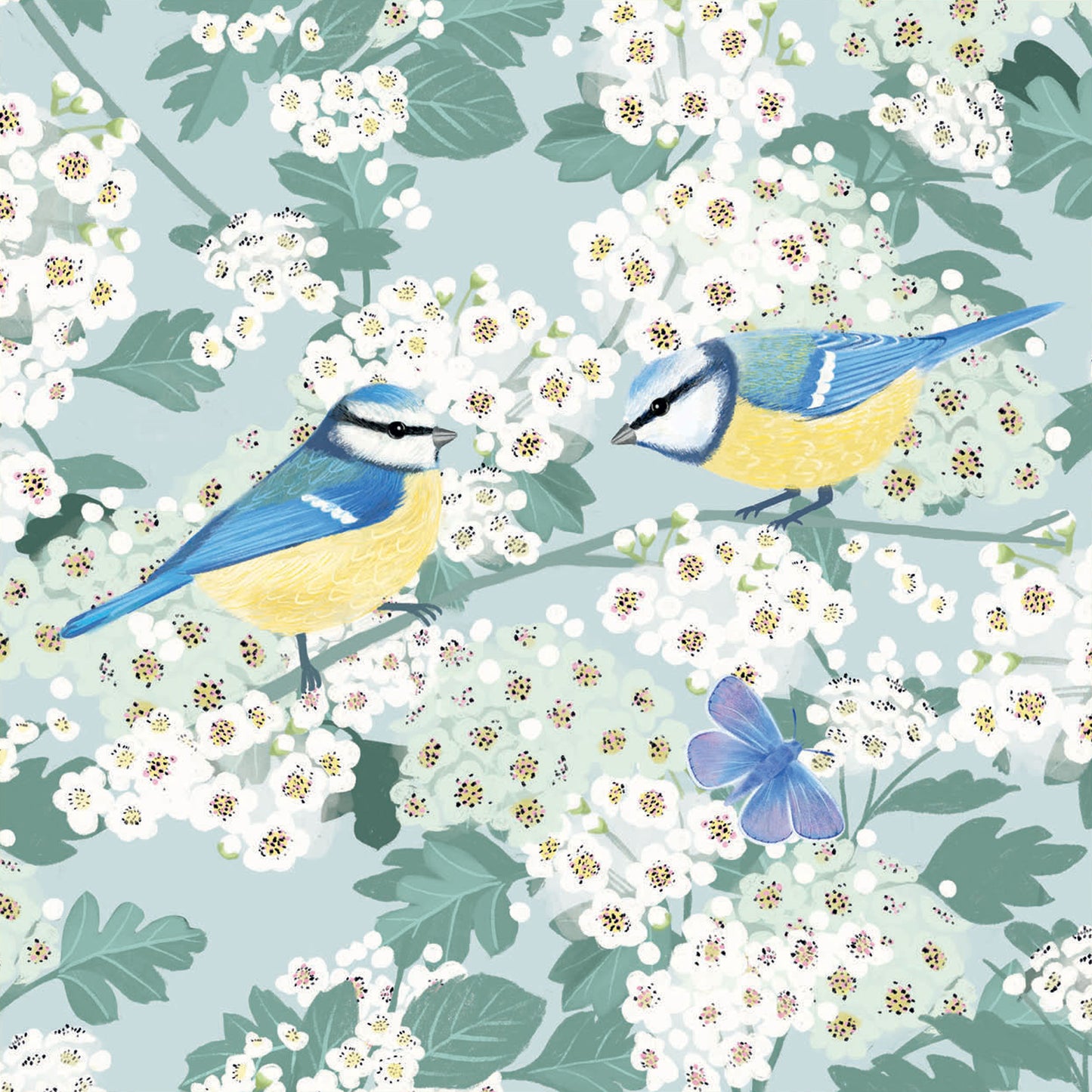 Notecard Pack (10 Cards) - RSPB White Blossom - Birds