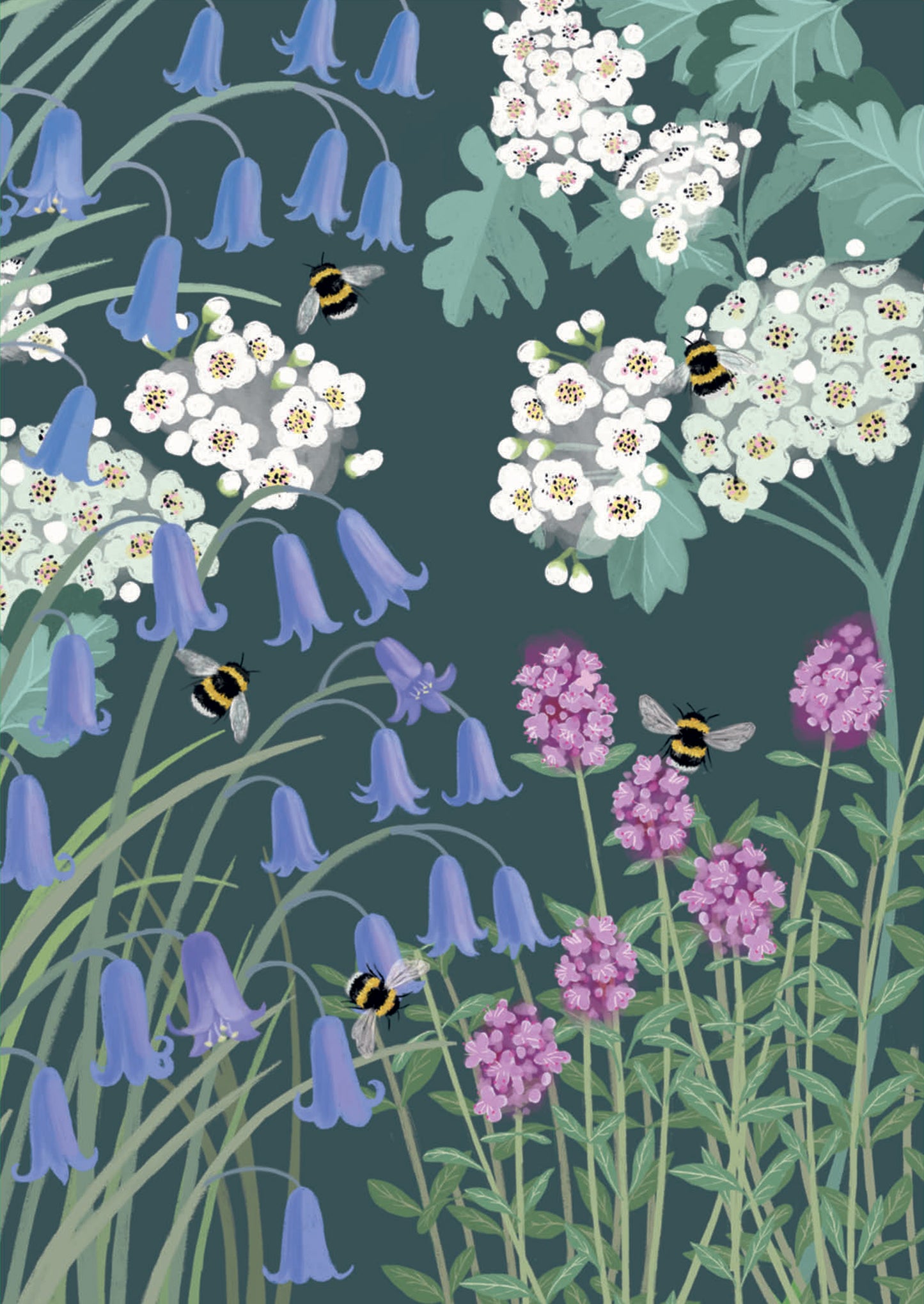 Notecard Pack (12 Cards) - RSPB White Blossom - Birds & Bees