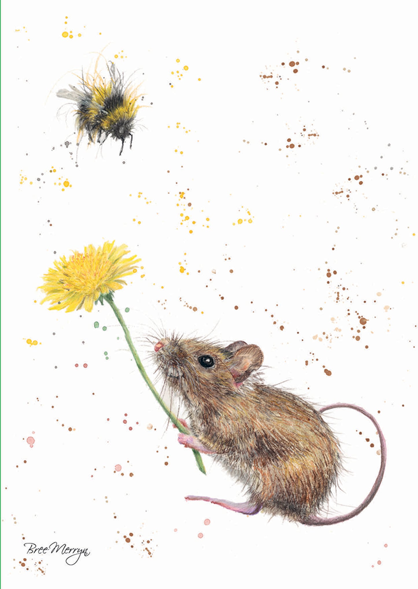 Notecard Pack (12 Cards) - Bree Merryn - Belle, Bashful & Bumble