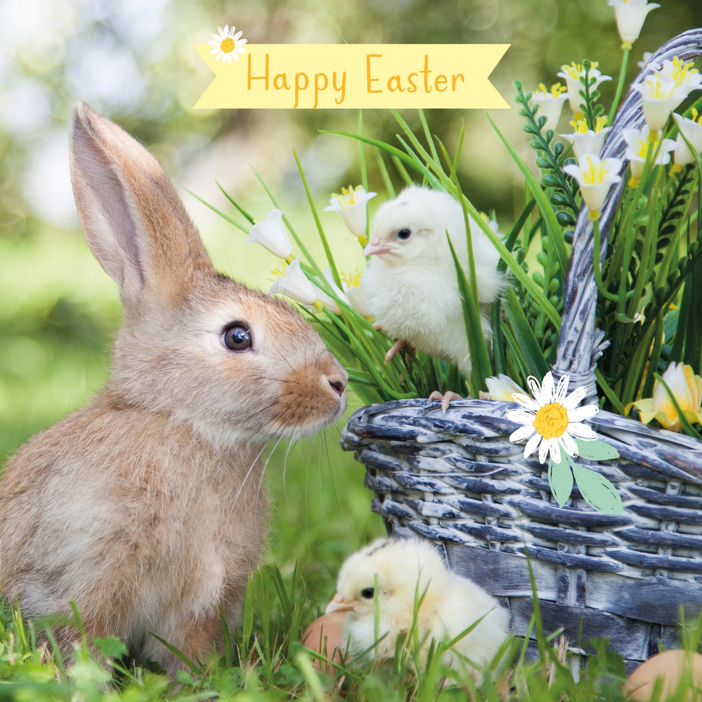 Easter 5 Card Pack - Bunny & Friends