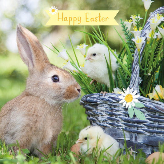 Easter 5 Card Pack - Bunny & Friends