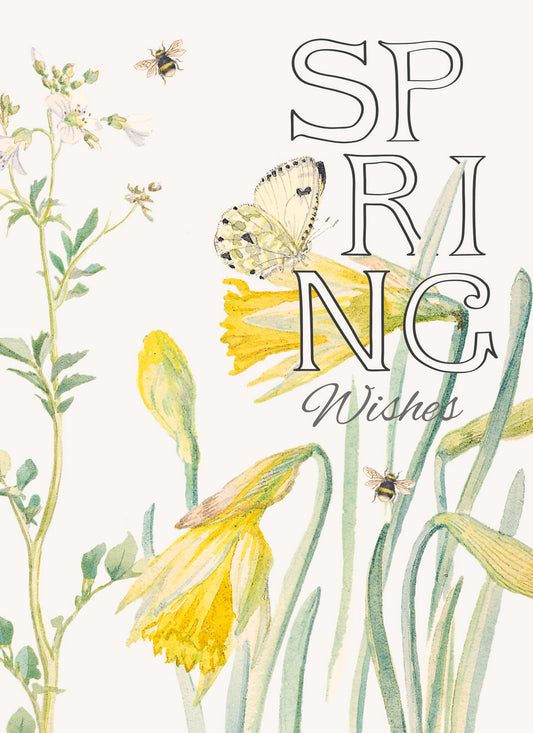 Easter Card - EDITH HOLDEN - Spring Wishes