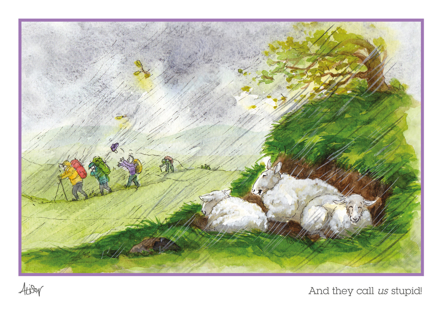 Alison's Animals Card - And They Call Us Stupid